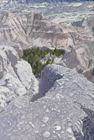 Badland Oasis - oil on canvas 24x16